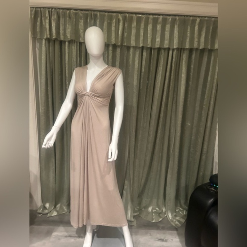- BEAUTIFUL BLUSH SANDY FAWN GOWN NWOT